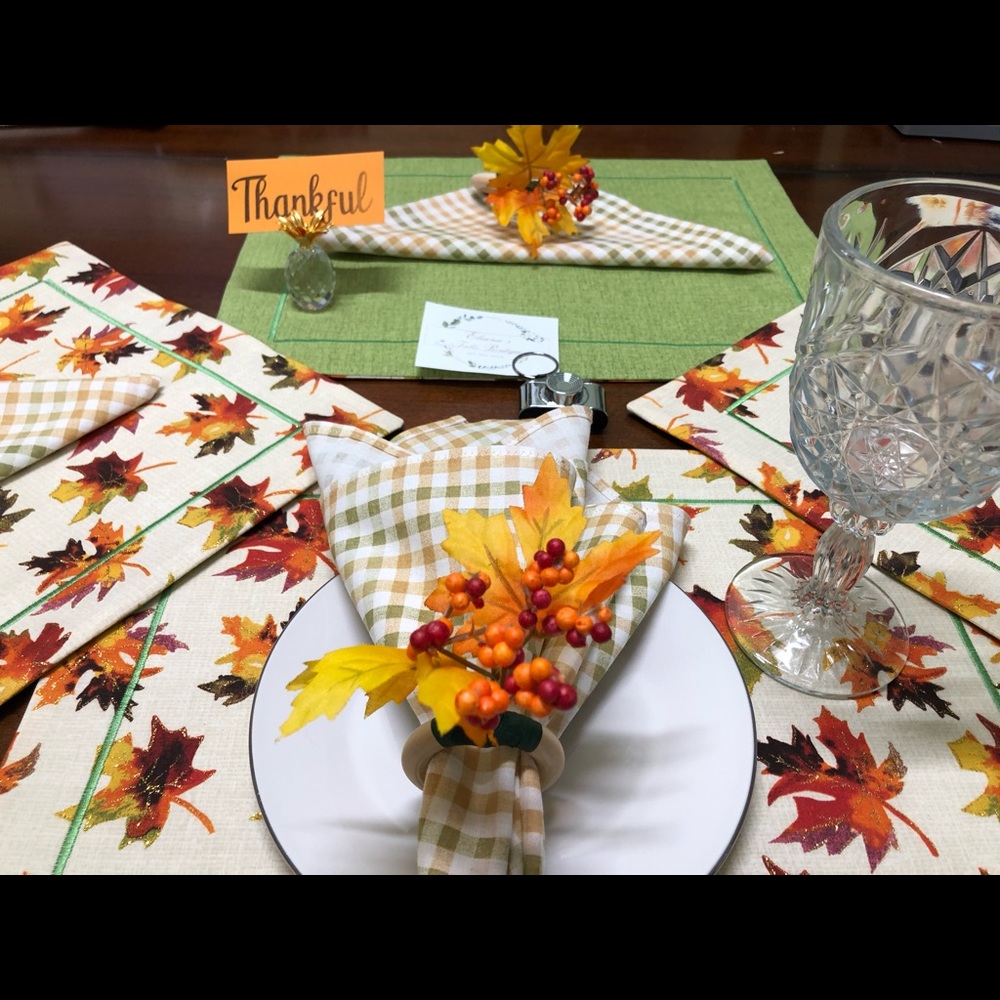 PLACEMATS - Picture 4 of 13